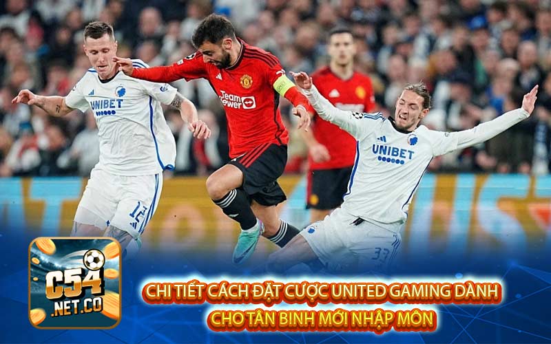 Chi tiết cách đặt cược United Gaming dành
cho tân binh mới nhập môn