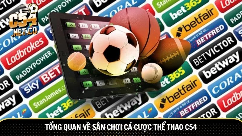 Tổng quan về sân chơi cá cược thể thao C54