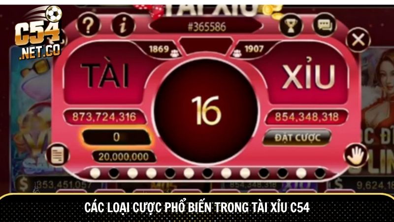 Các loại cược phổ biến trong tài xỉu C54