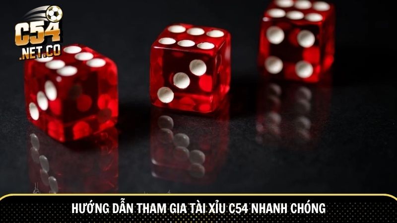 Hướng dẫn tham gia tài xỉu C54 nhanh chóng